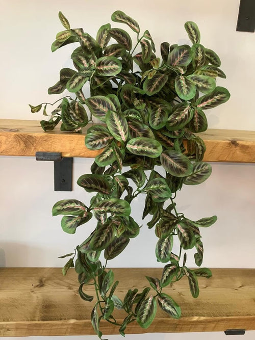 Artificial Maranta 70cm