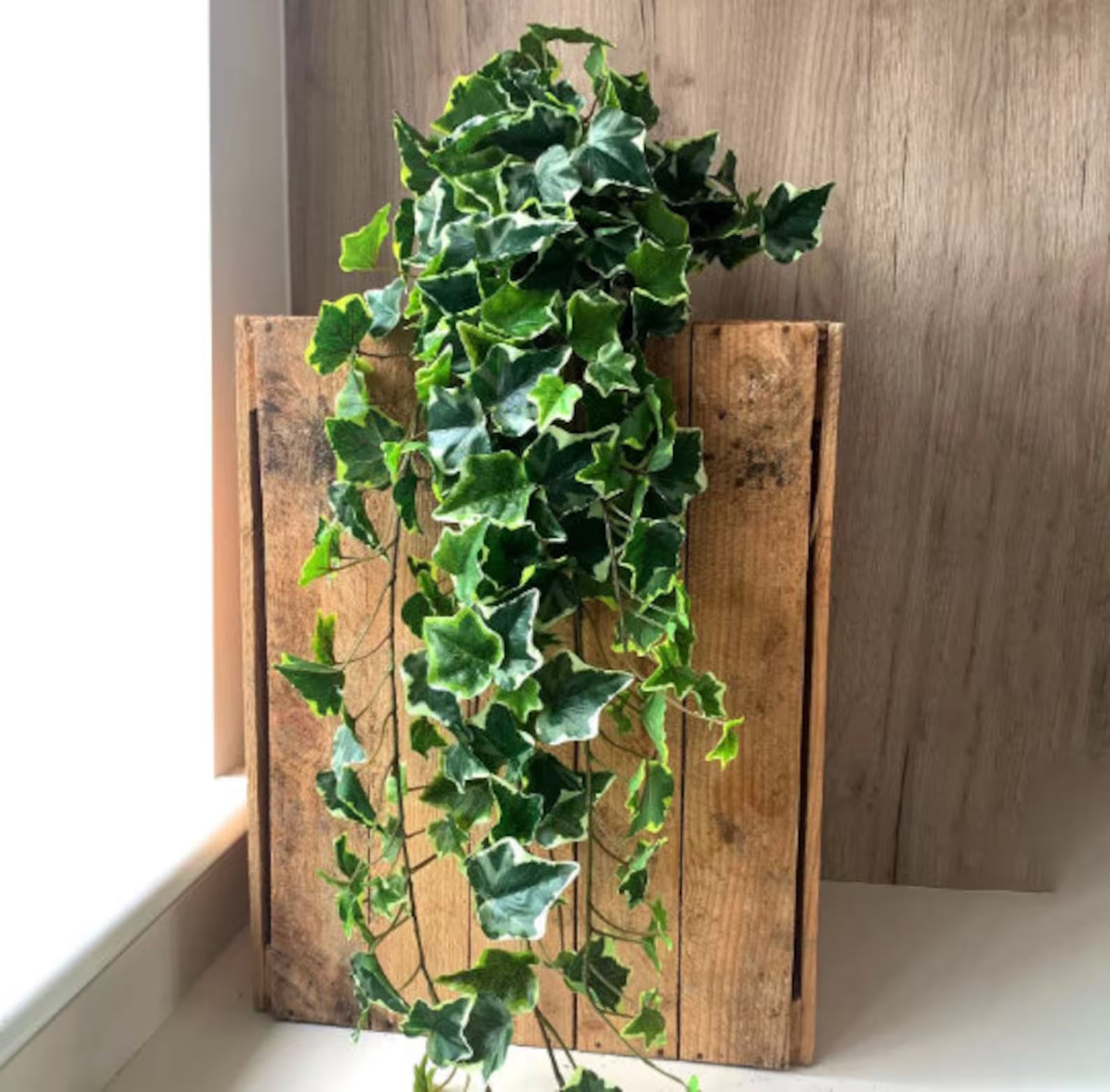 Artificial Variegated Trailing Ivy